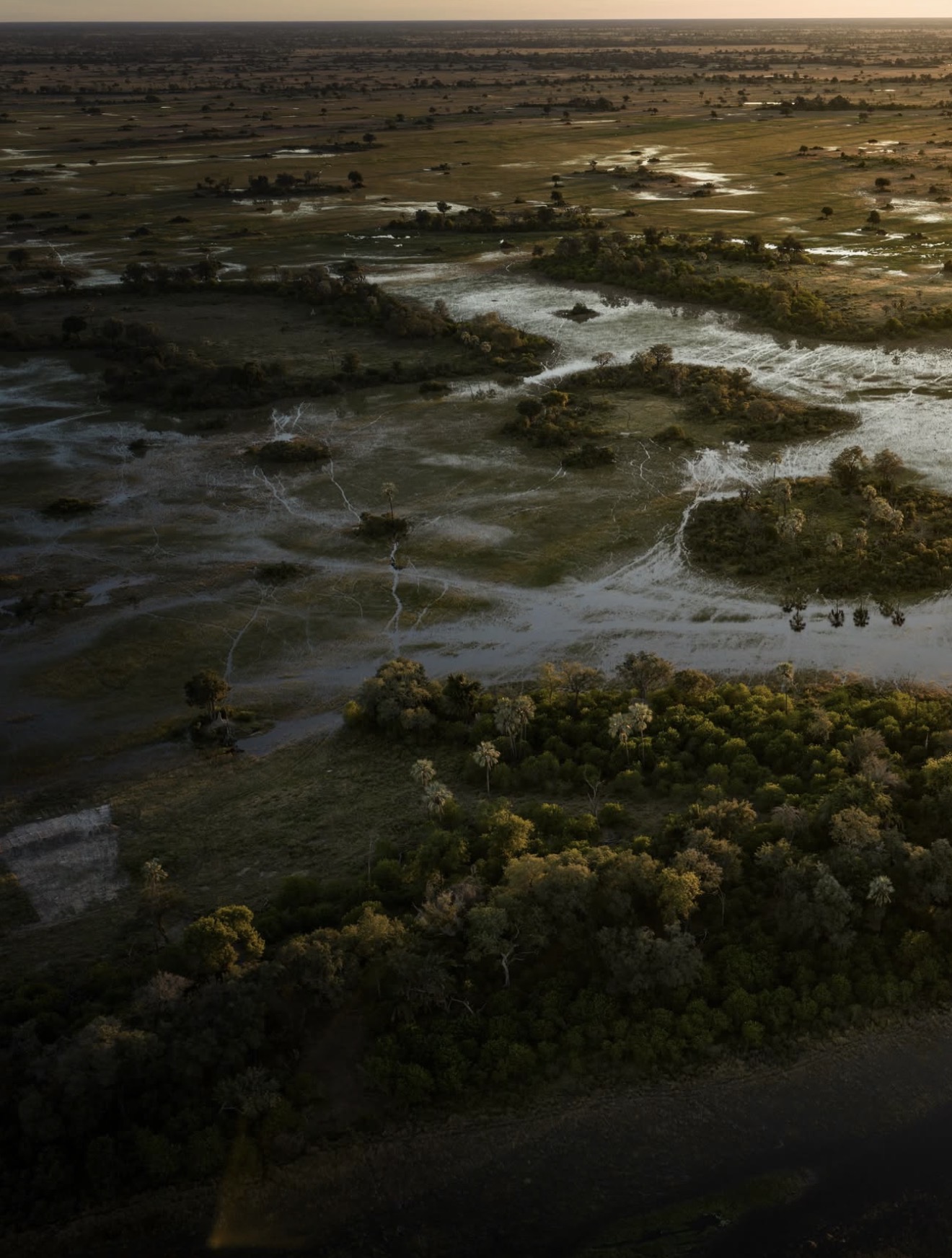 Aerial view of the Okavango Delta's flooded channels at sunset