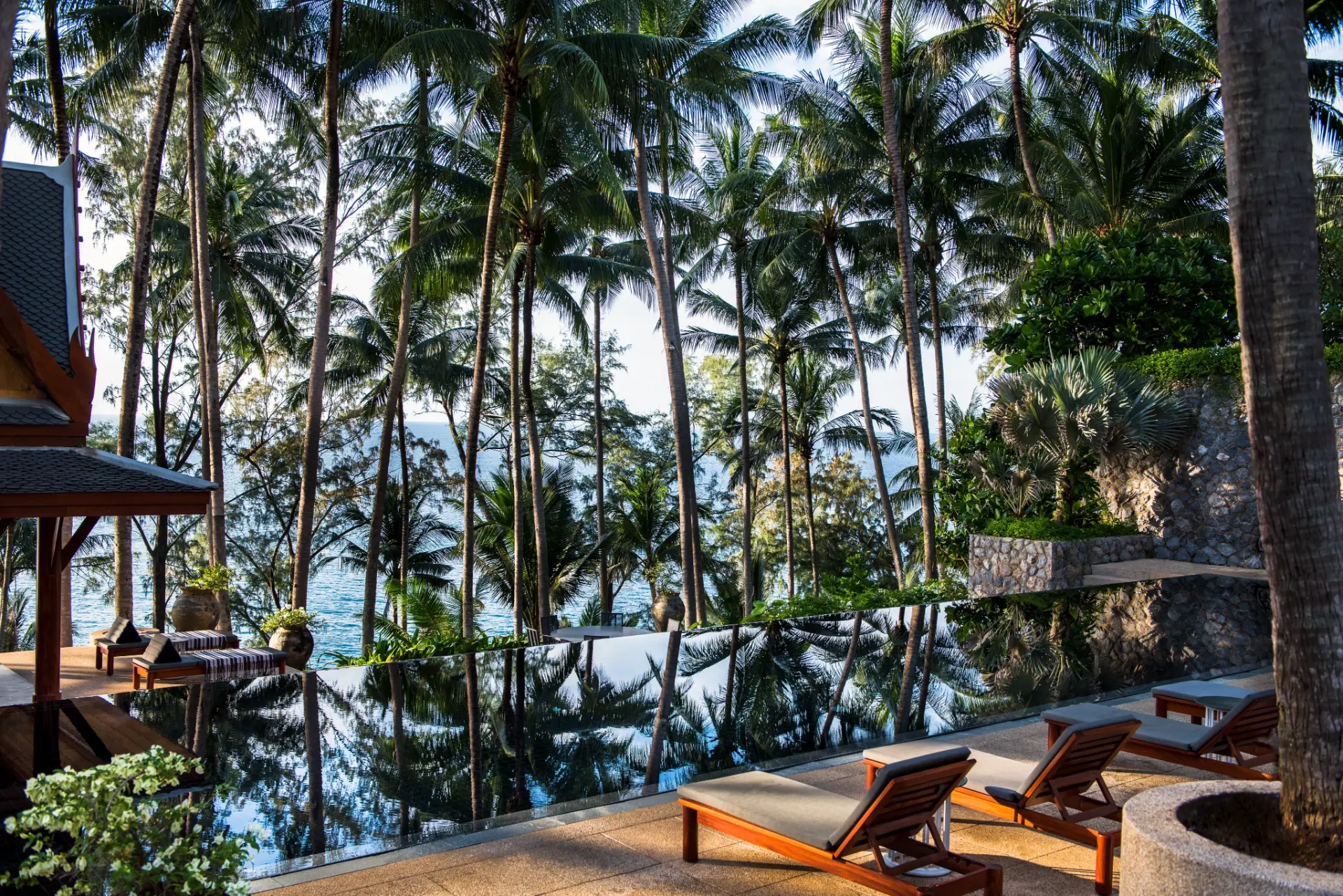 Quiet infinity pool terrace among palms above the sea
