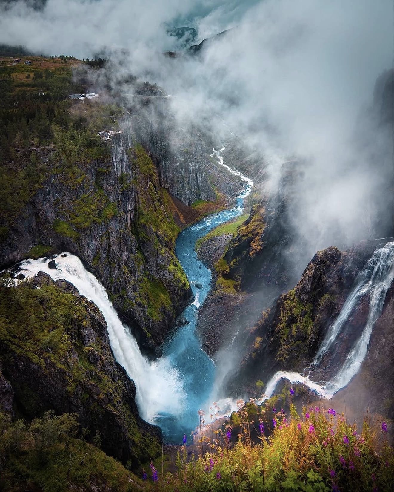 Twin waterfalls falling into a misted Norwegian canyon with wildflowers