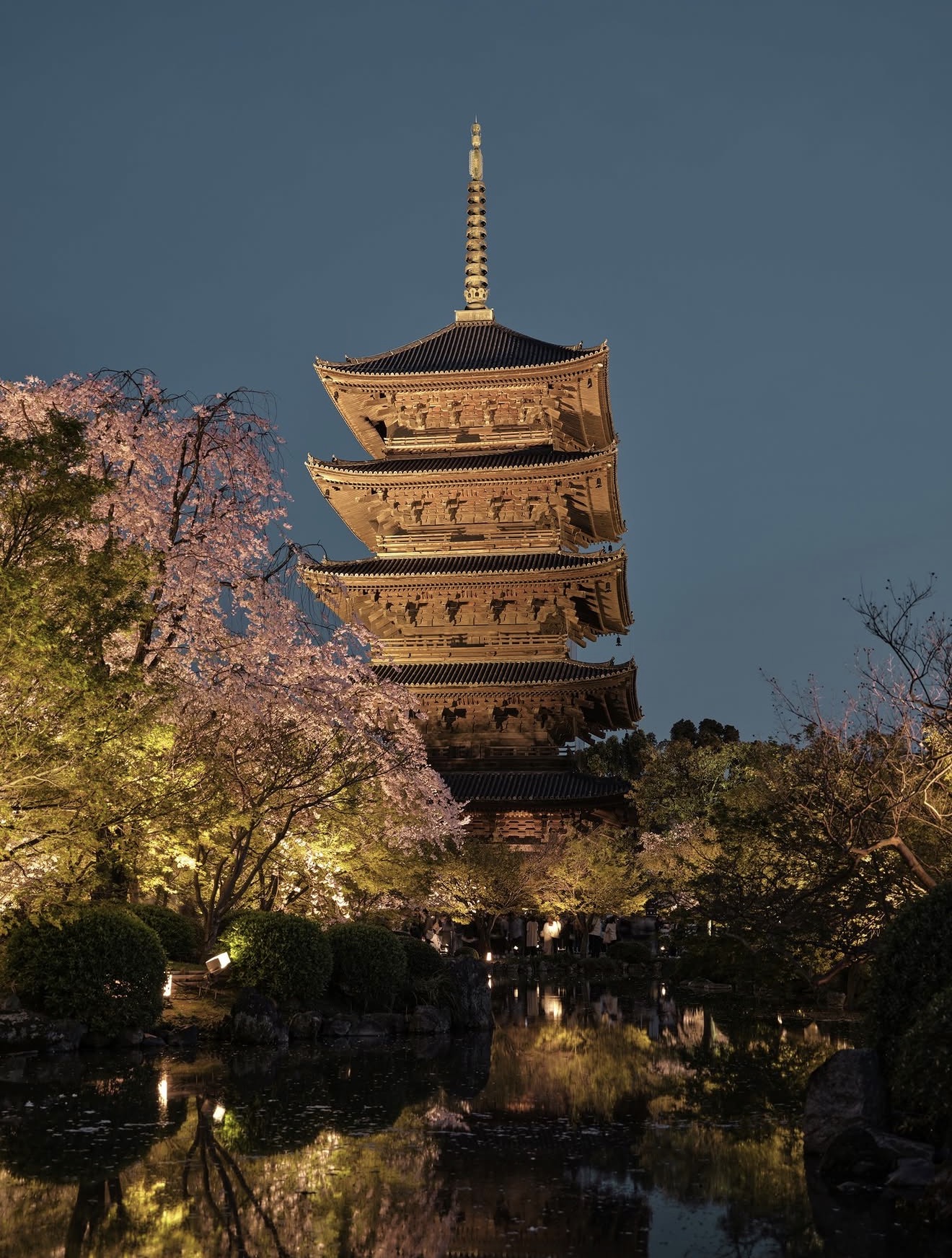 Illuminated pagoda and cherry blossoms reflected in a Kyoto garden