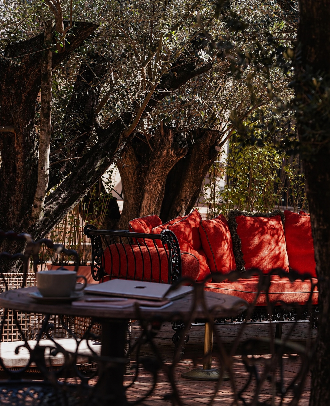 A quiet courtyard table under olive trees with a laptop, notebook and coffee