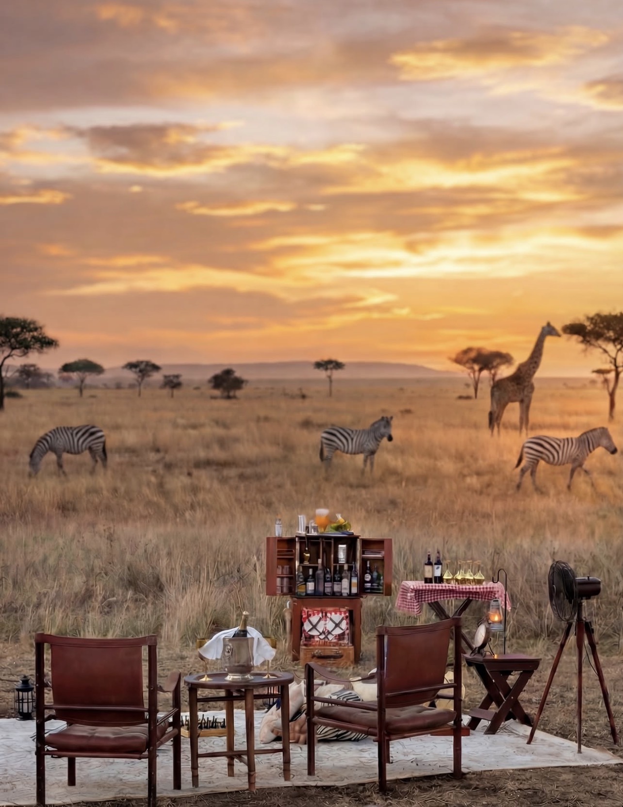 Safari sundowner set beneath a burning sky with zebra and giraffe grazing