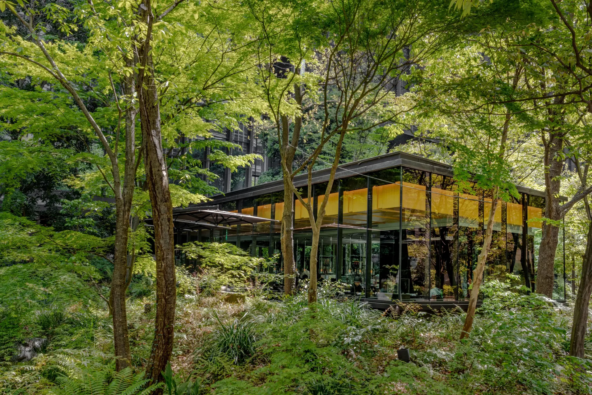 A glass pavilion set among a dense green garden in Tokyo